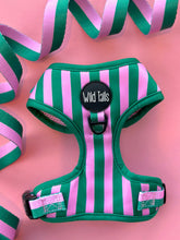 Load image into Gallery viewer, All Decked Out Harness