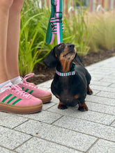 Load image into Gallery viewer, All Decked Out Collar