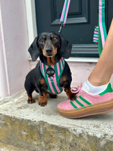 Load image into Gallery viewer, All Decked Out Harness