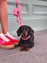 Load image into Gallery viewer, Love Letters Collar