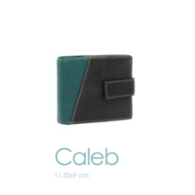 Load image into Gallery viewer, Soruka Caleb Wallet