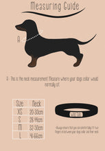 Load image into Gallery viewer, So Fetch Collar