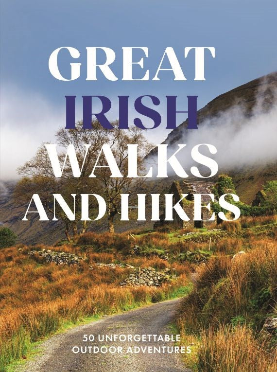 Book cover of 'Great Irish Walks and Hikes' with a scenic Irish landscape.