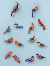Load image into Gallery viewer, Kingfishers