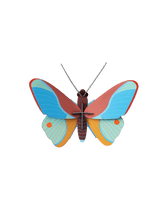 Load image into Gallery viewer, Claudina Butterfly