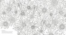 Load image into Gallery viewer, Wonderful Wildflowers Colouring Book