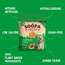 Load image into Gallery viewer, Watermelon & Apple Dog Treats