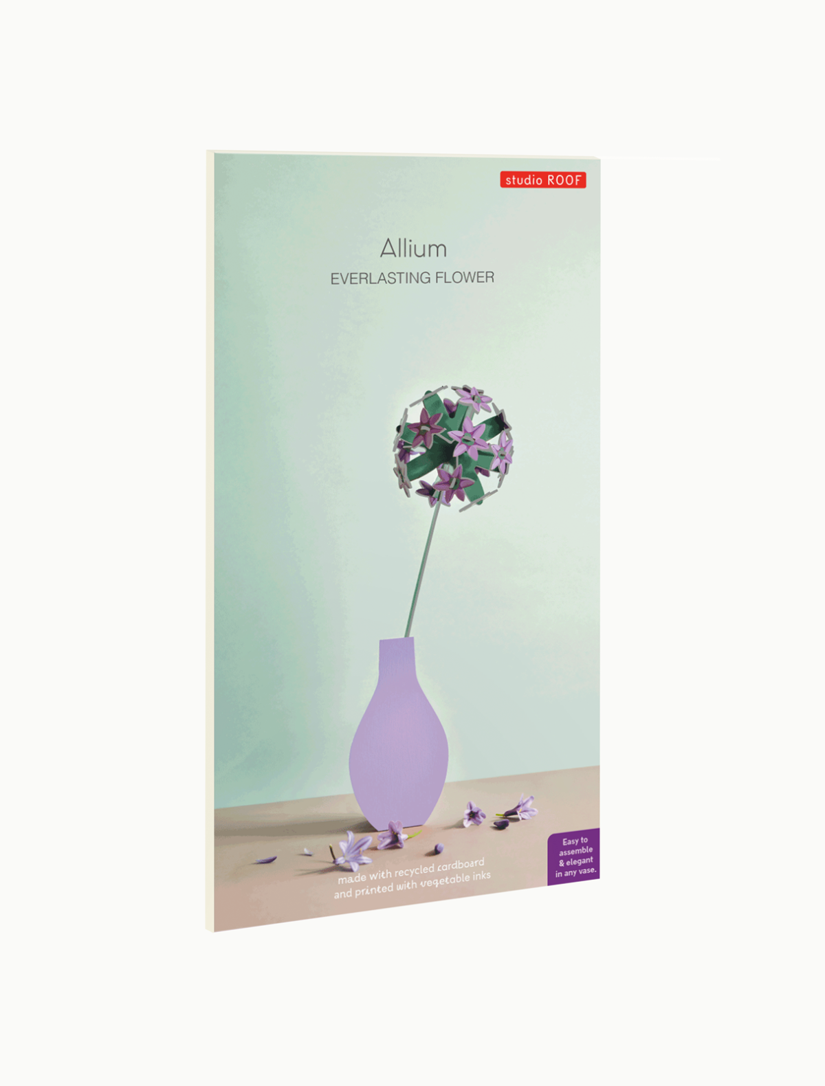 Everlasting Flowers - Allium