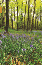 Load image into Gallery viewer, The 50 Best Family Hikes in Ireland