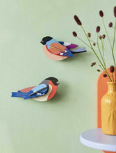 Load image into Gallery viewer, Finches