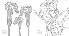 Load image into Gallery viewer, Wonderful Wildflowers Colouring Book