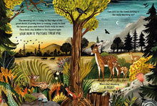 Load image into Gallery viewer, Secret Forest: A Spotting Book