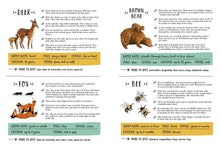 Load image into Gallery viewer, Secret Forest: A Spotting Book
