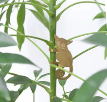 Load image into Gallery viewer, Bush Baby Plant Animal
