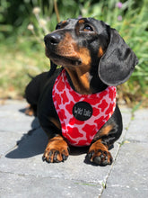 Load image into Gallery viewer, So Fetch Harness