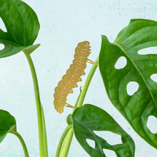 Load image into Gallery viewer, Caterpillar Plant Animal
