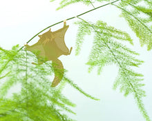 Load image into Gallery viewer, Flying Squirrel Plant Animal