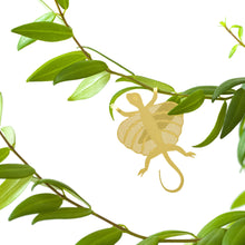 Load image into Gallery viewer, Flying Lizard Plant Animal