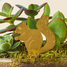Load image into Gallery viewer, Squirrel Plant Animal
