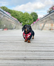 Load image into Gallery viewer, Classic Red Harness
