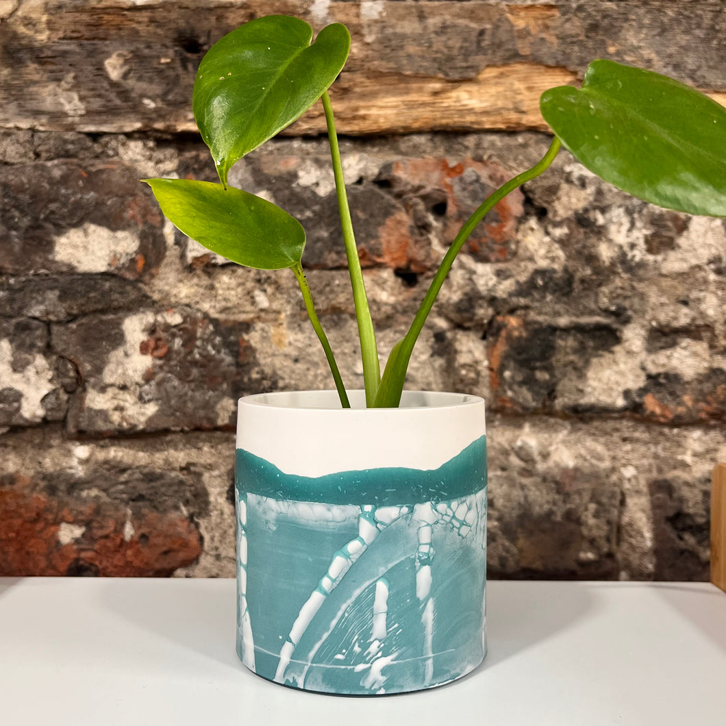 Green & White Pot with Monstera Deliciosa