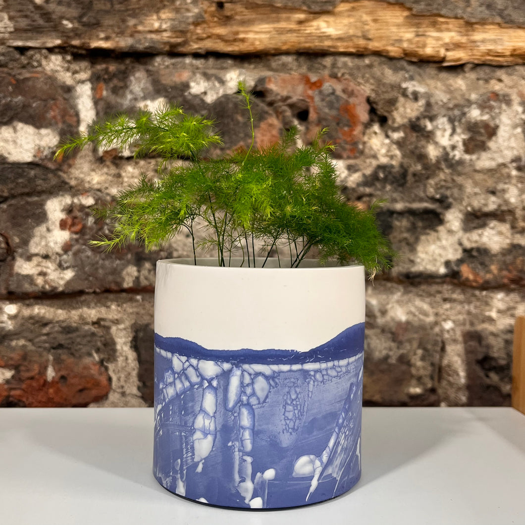 Blue & White Pot with Asparagus Fern