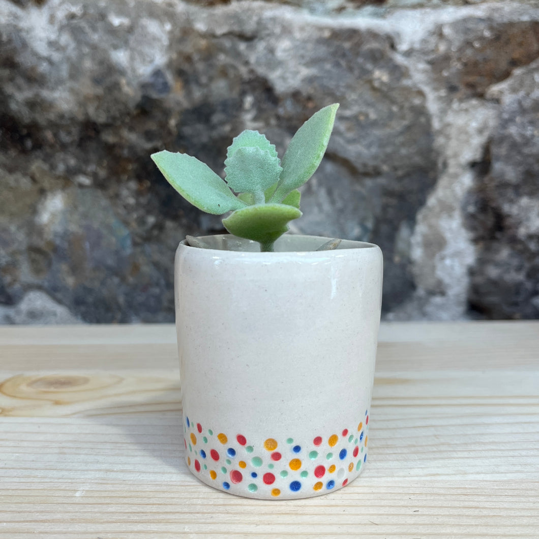 Muddled dotty pot 4