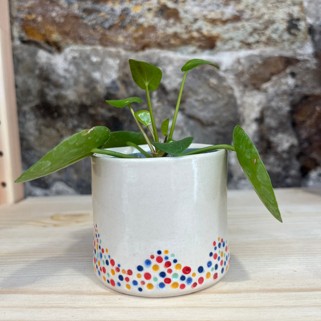 Muddled dotty pot 2