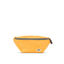 Load image into Gallery viewer, Jubilee - Hip Bag
