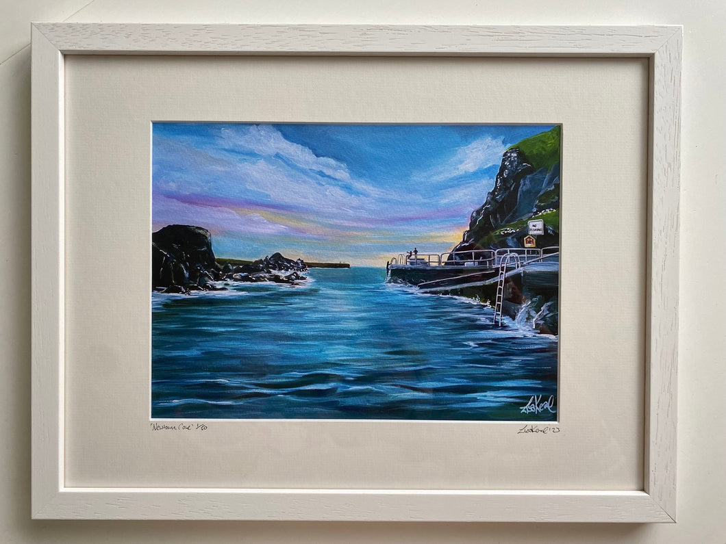Newtown Cove Fine Art Print