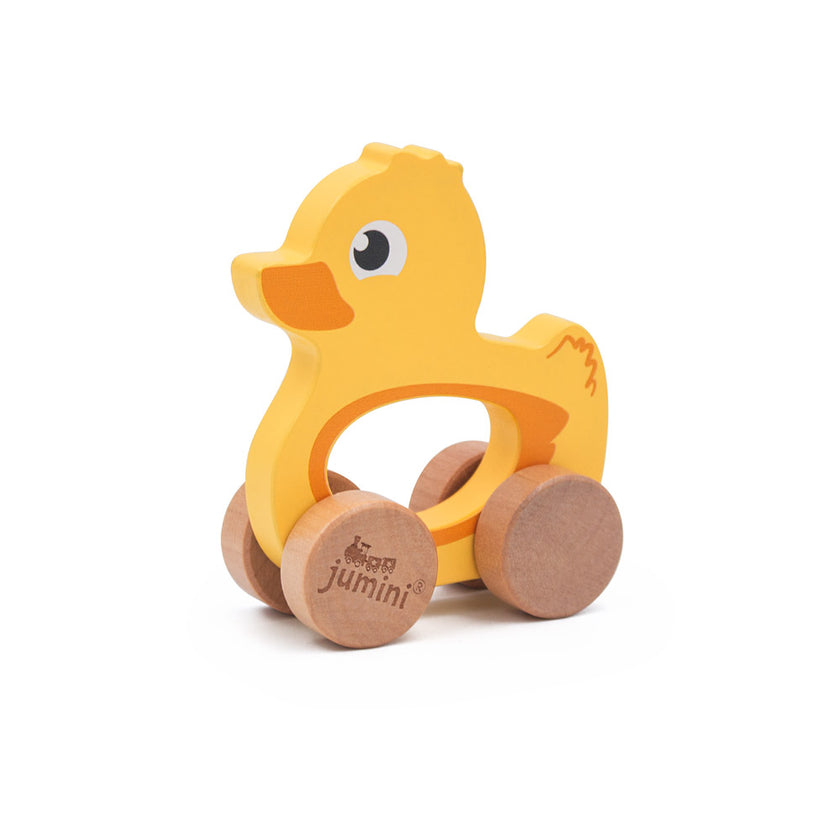 Push Along Friends Duck