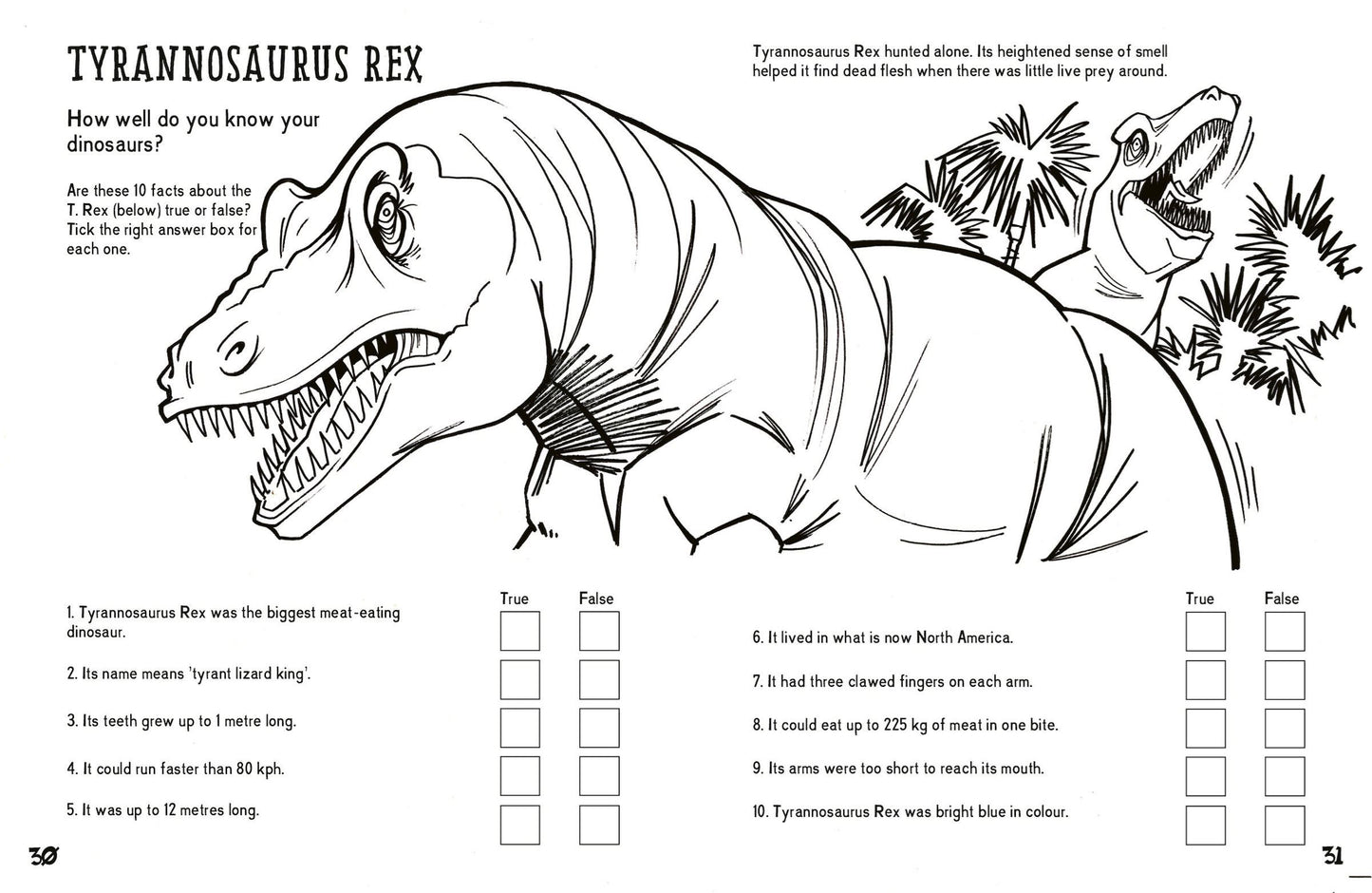 Boredom - Buster Puzzle Activity Book of Daring & Deadly Dinosaurs
