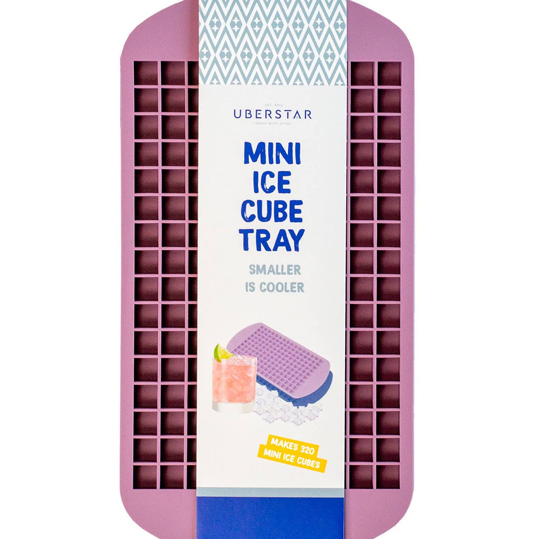 Mini Ice Cube Trays - Set of 2