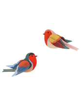 Load image into Gallery viewer, Robins
