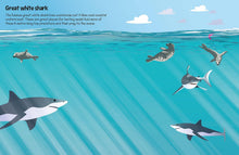 Load image into Gallery viewer, 555 Sticker Fun: Sharks
