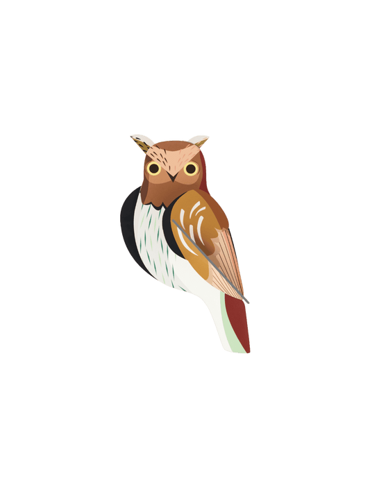 Tawny Owl