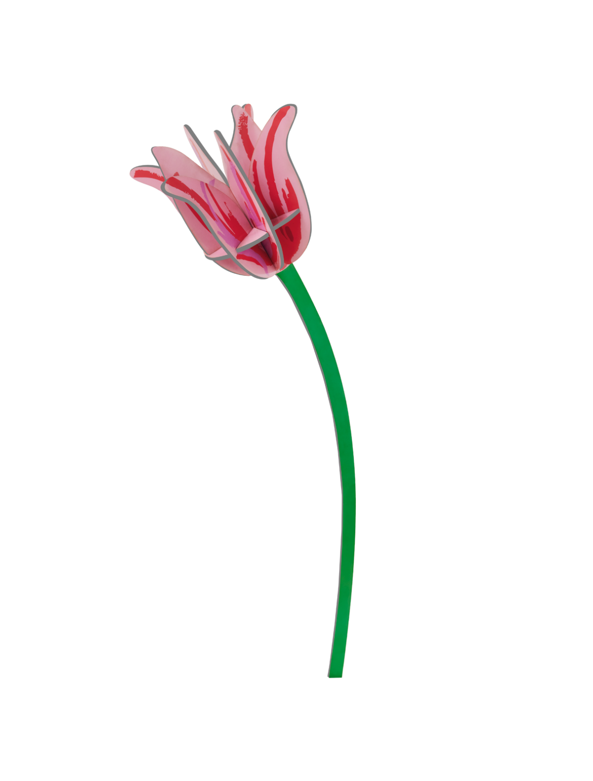 Everlasting Flowers - Pink Tulip