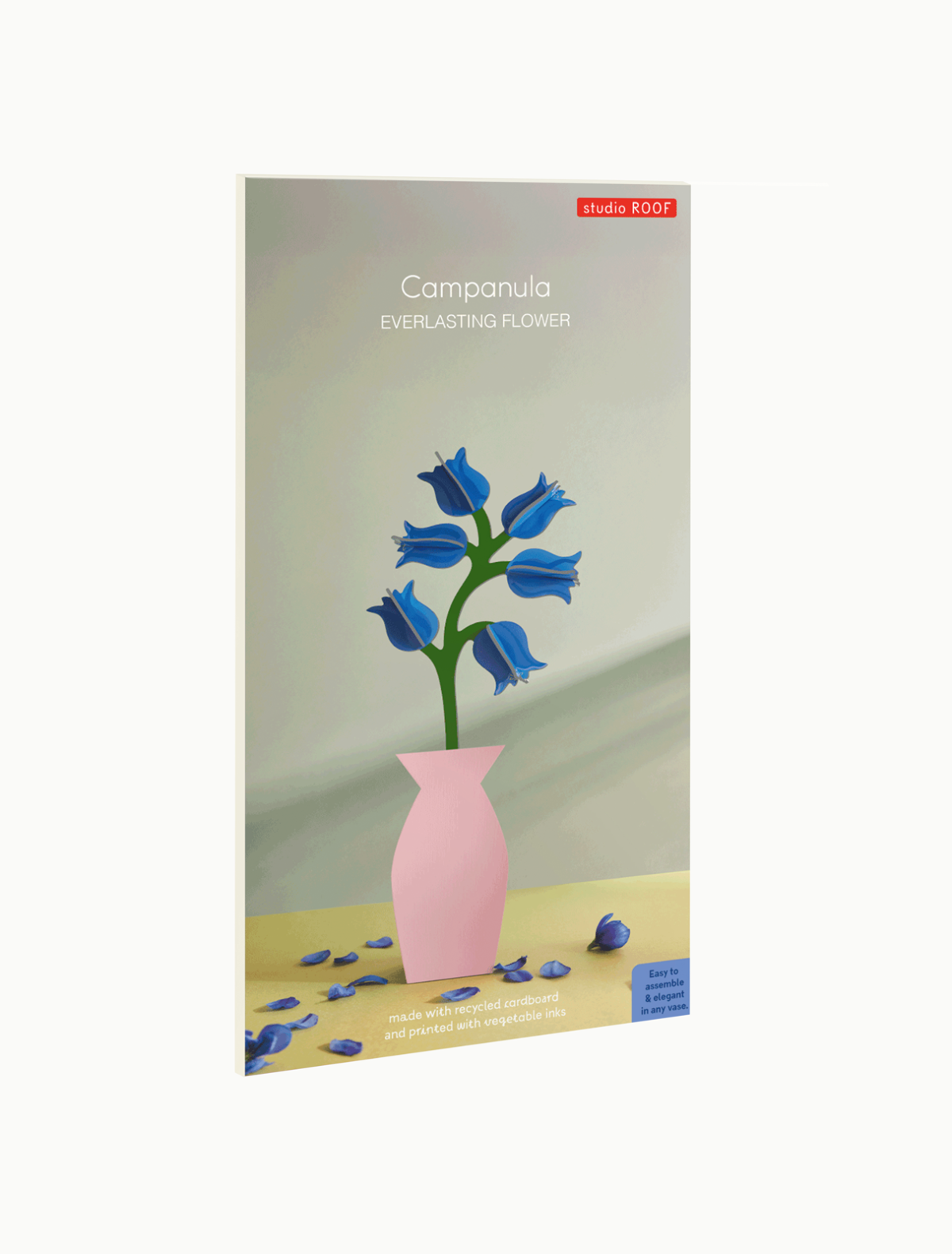 Everlasting Flowers - Campanula