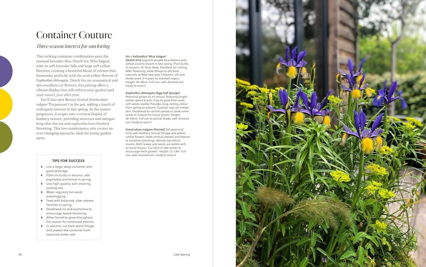 Year of Colour: How To Create A Bold And Bright Garden
