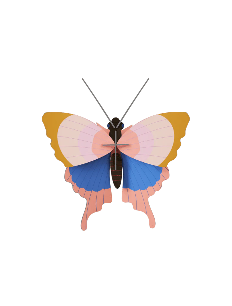 Gold Rim Butterfly