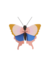 Load image into Gallery viewer, Gold Rim Butterfly

