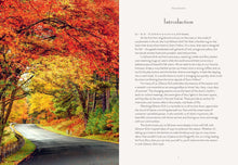 Load image into Gallery viewer, Fall Into Fall - Cozy Season &amp; Gilmore Girls
