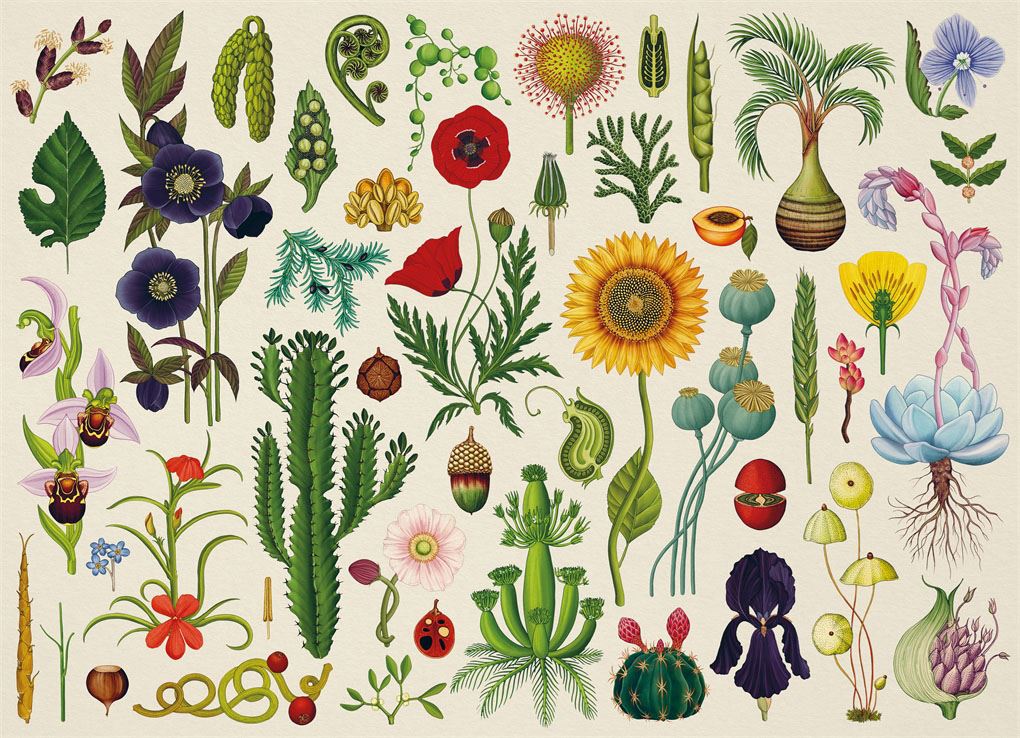 Botanicum 1000 Piece Jigsaw Puzzle