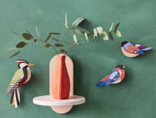 Load image into Gallery viewer, Finches
