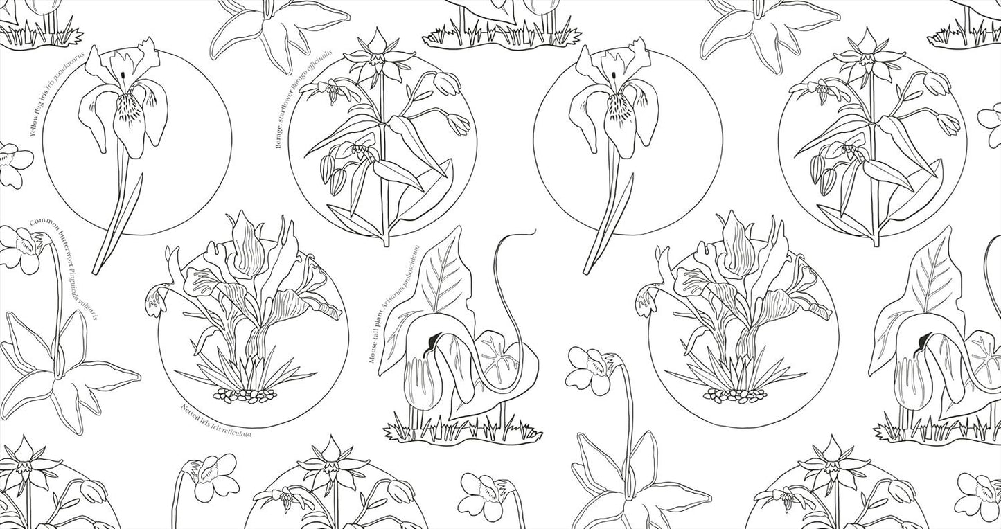 Wonderful Wildflowers Colouring Book