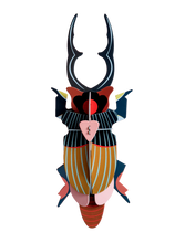 Load image into Gallery viewer, Giant Scarb Beetle
