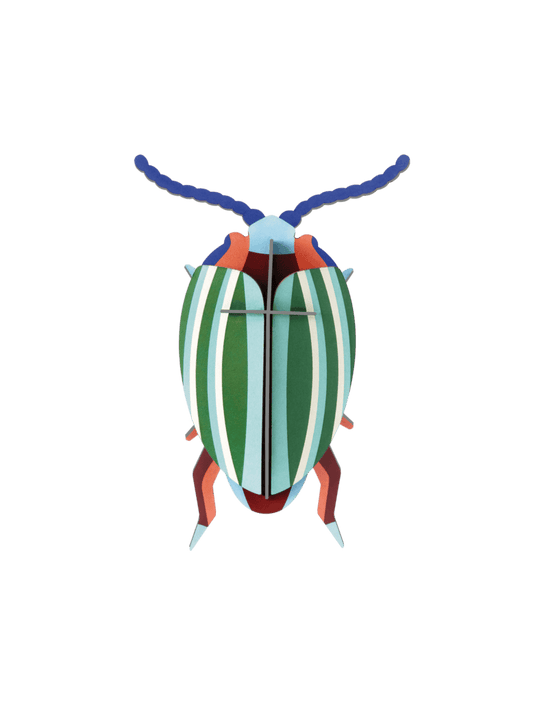 Rainbow Leaf Beetle