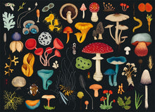 Load image into Gallery viewer, Fungarium 1000 Piece Jigsaw Puzzle
