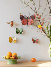 Load image into Gallery viewer, Delias Butterfly
