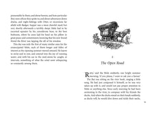 Load image into Gallery viewer, Wind In The Willows - Puffin Clothbound Classics

